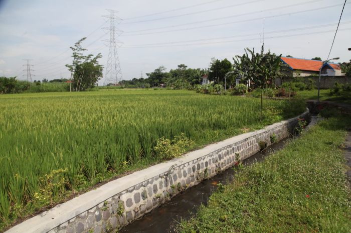 HIJAU: Salah satu saluran irigasi lahan pertanian di Kediri, Jawa Timur.