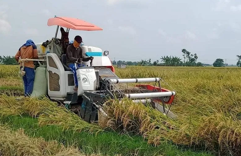 BANTUAN: Alat dan mesin pertanian (alinstan) terbukti telah membantu petani meningkatkan panen mereka.