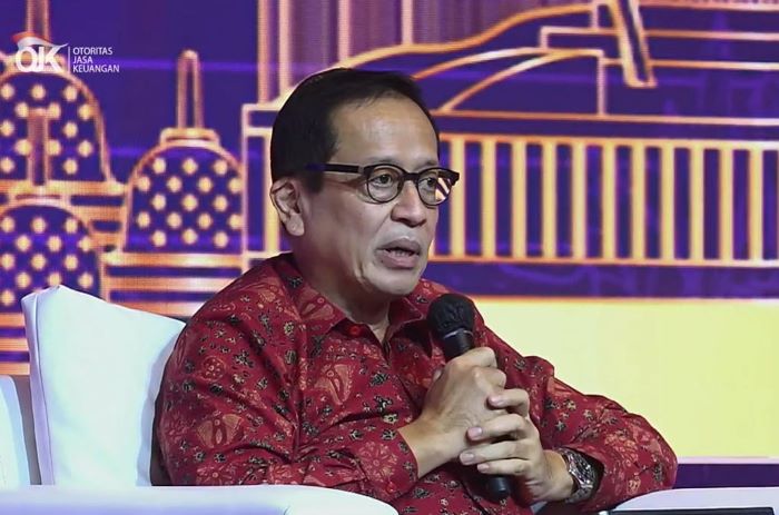 Kepala Eksekutif Pengawas Perbankan OJK Dian Ediana Rae