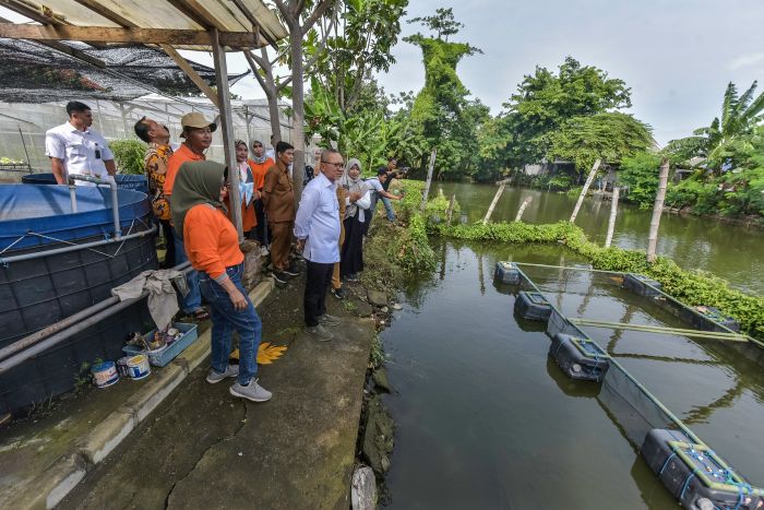 APRESIASI: Menteri Koordinator Bidang Pangan Zulkifli Hasan saat meninjau kelompok tani di kawasan Medayu Selatan V no.15, Rungkut, Surabaya, Senin (10/2/2025).