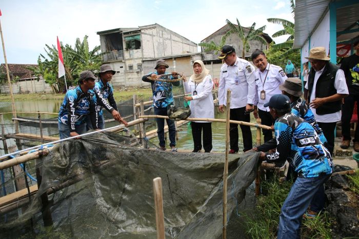 HASIL BUMI: Panen raya di Telaga Semanggi, Sememi, Benowo, Surabaya bersama Poktan Pajero Grup.