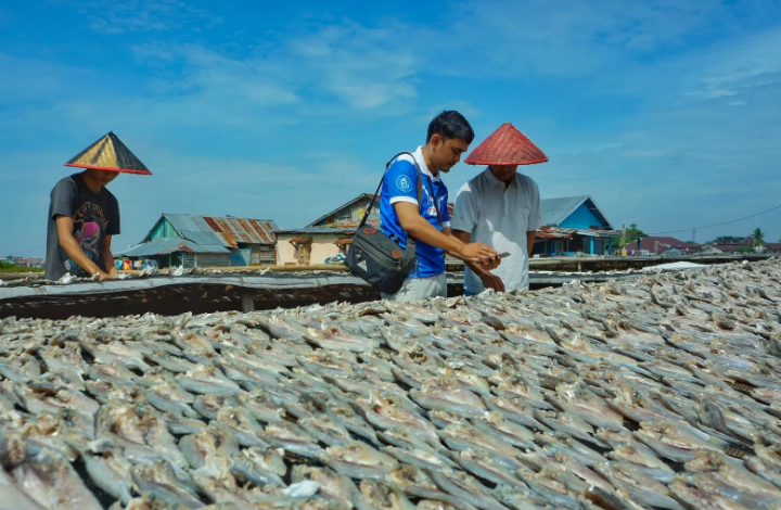 KOORDINASI: Pelaku Usaha Mikro Kecil Menengah (UMKM) binaan Bank Rakyat Indonesia (BRI) memproduksi beragam ikan asin dengan kualitas terbaik.
