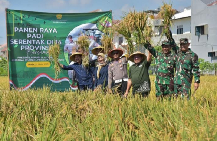 KOMPAK: Panen raya serentak secara nasional di Surabaya, berhasil mengumpulkan 20 ton gabah kering panen (GKP).