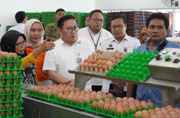 LANGSUNG: Direktur Jenderal Peternakan dan Kesehatan Hewan Kementan Agung Suganda (ketiga kiri) melihat dari dekat aktivitas di Rumah Kebersamaan Peternak Layer Mandiri di Blitar, Sabtu (19/4/2025).