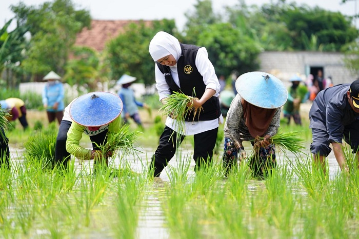 TANDUR: Gubernur Khofifah Indar Parawansa melakukan Tanam Serentak Nasional di Desa Purwosari, Kecamatan Babadan, Ponorogo yang menjadi titik pusat di Jawa Timur, Rabu (23/4/2025).