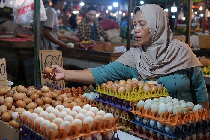 LAPAK: Selama dua bulan terakhir, harga telur ayam anjlok di bawah harga acuan penjualan (HAP).