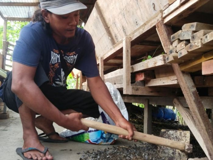 BERMANFAAT: Hariyanto saat membersihkan kotoran kambing di kandangnya di kawasan Lontar Surabaya. Setiap hari dia mampu mengumpulkan 100 kilogram kotoran kambing untuk dijadikan pupuk.
