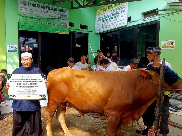 Agrinas Palma Nusantara Salurkan Hewan Kurban di 37 Titik di Jabodetabek, Banten, Jawa Timur, Kalimantan Barat, dan Kalimantan Selatan