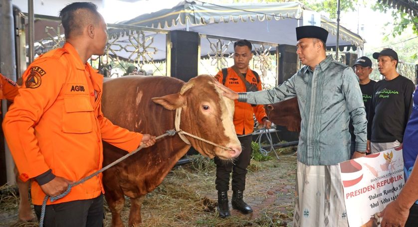 SAYANG: Wali Kota Eri menuturkan jika sapi kurban bantuan Presiden Prabowo sempat menunjukkan sifat agresif sebelum disembelih.