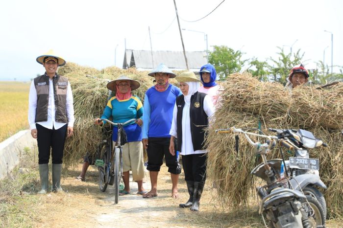 POSITIF: Gubernur Jatim Khofifah Indar Parawansa bersama para petani optimistis mulai Januari hingga Juli, potensi produksi padi Jatim diperkirakan hampir mencapai 9 juta ton GKP