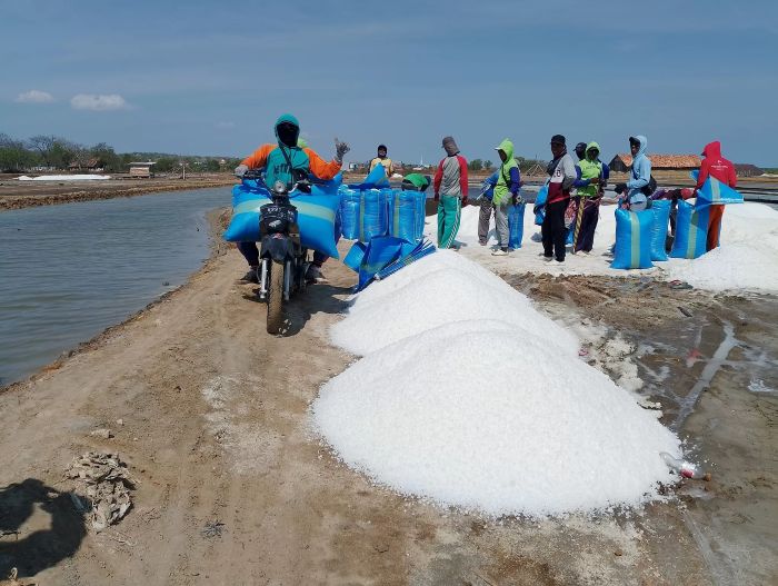 PANEN: Petambak garam di Kabupaten Sampang Madura mengusung hasil panen mereka untuk selanjutnya dijual.