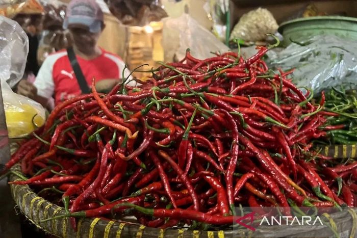 ELANJA: Kelompok volatile food seperti cabai pada Agustus mengalami deflasi sebesar 0,61 persen (mtm), menurun dibandingkan realisasi bulan sebelumnya yang mengalami inflasi sebesar 1,25 persen (mtm).