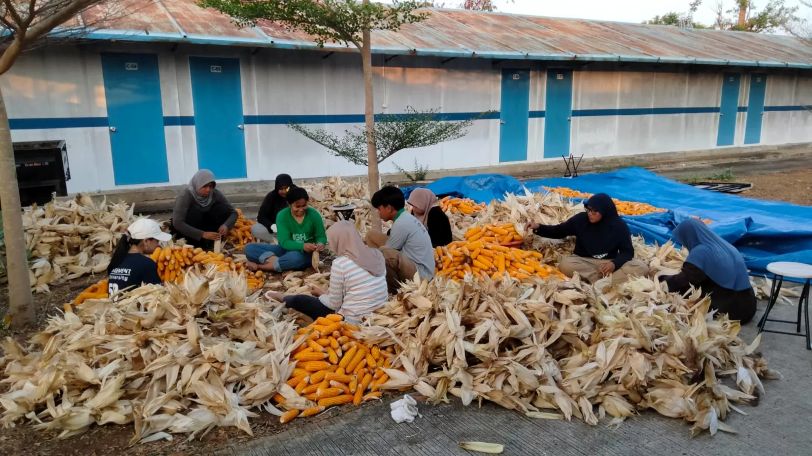 SIBUK: PLN Nusantara Power UP Tanjung Awar-awar memanfaatkan limbah pertanian jagung sebagai bahan campuran batu bara (co-firing) pada PLTU berkapasitas terpasang 2X350 MW di Desa Wadung, Jenu, Tuban