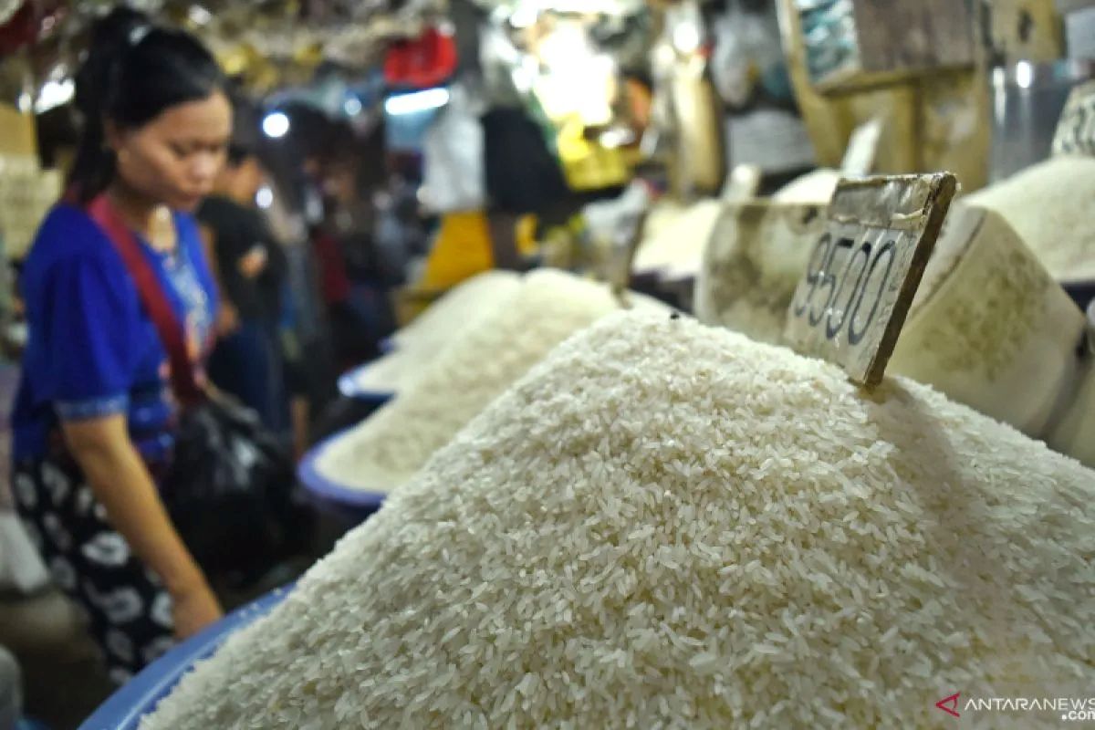 JUAL: Pada tahun 2022, Provinsi Jatim mencatat surplus 1,13 juta ton beras, menurun menjadi 1,10 juta ton pada 2023, dan kembali turun menjadi 0,80 juta ton pada 2024.