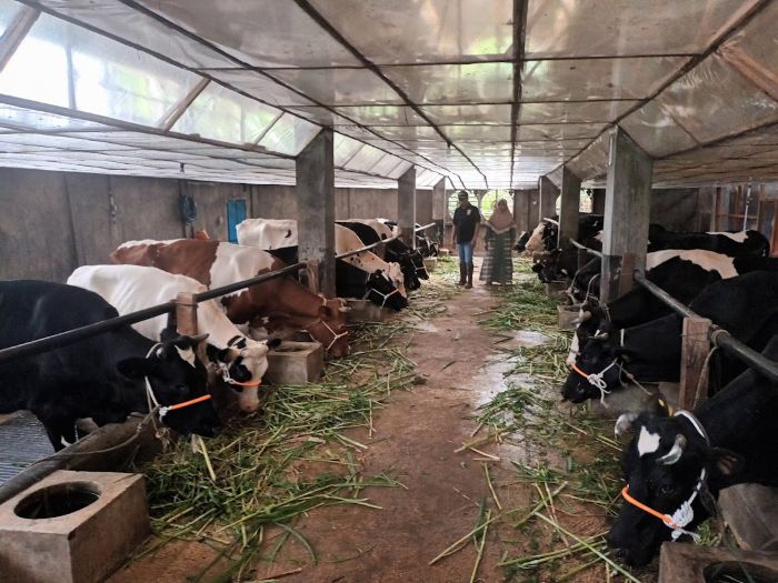 BERSIH: Salah satu peternakan sapi perah di kawasan Pasuruan yang mampu menjadikan Jawa Timur sebagai produsen susu segar terbesar.