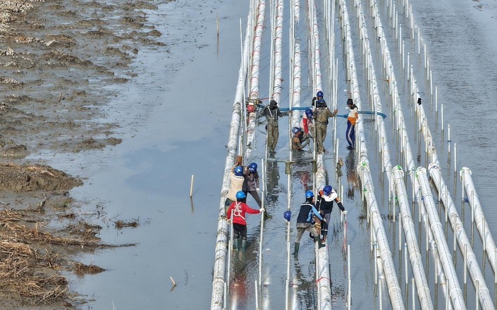 TANCAP GAS: Pengembangan modeling budi daya ikan nila salin (BINS) di Kabupaten Karawang, Jawa Barat seluas 230 hektare.