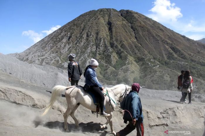 NAIK KUDA: Kawasan Gunung Bromo menjadi salah satu destinasi andalan di industri pariwisata Jawa Timur.