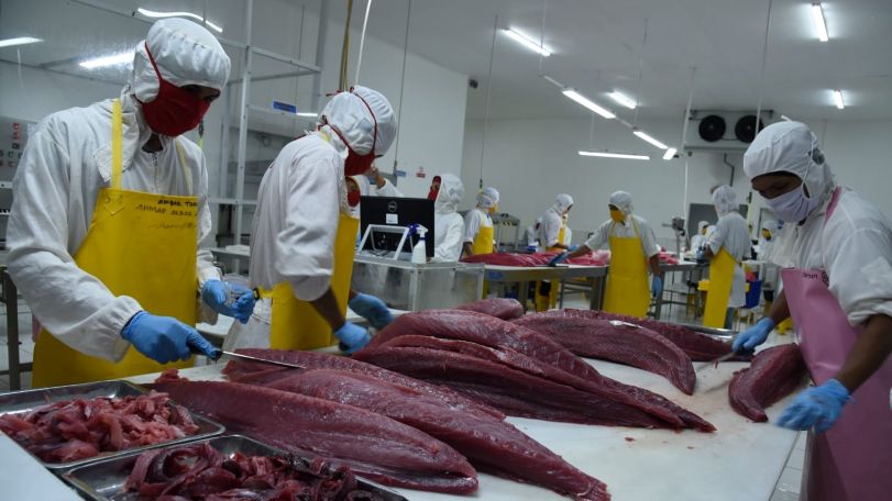 DAGING: Sektor kelautan dan perikanan seperti pengolahan ikan tuna Indonesia terus menarik perhatian pemilik modal, baik asing maupun domestik.