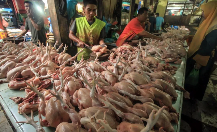 JUAL DAGING AYAM: Mulai tahun depan produksi telur dan ayam diarahkan ke luar Pulau Jawa untuk menciptakan ketahanan pangan di setiap daerah.