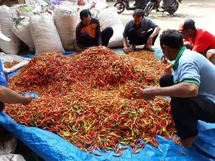PANEN: Panel Harga Pangan Bapanas mencatat harga cabai rawit masih mahal, seperti di DKI Jakarta yang mencapai Rp 94.667 per kg.