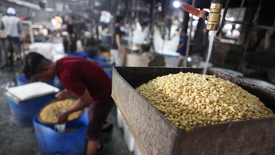 PROSES: Aktivitas di salah satu pabrik tempe yang menjadikan kedelai sebagai bahan dasar utama.