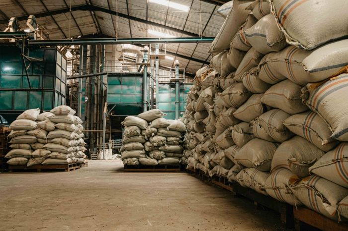 PERSIAPAN: Gudang PT Taman Delta Indonesia, tempat menyimpan kopi sebelum diekspor ke Mesir.