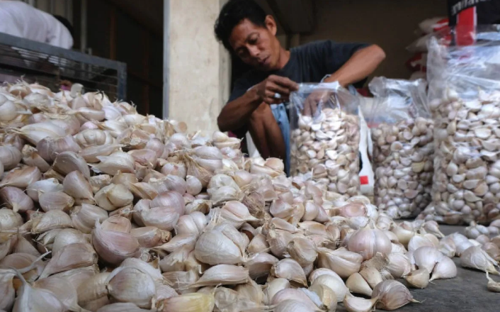 JUAL: Swasembada bawang putih masuk roadmap swasembada nasional hingga 2029 bersama sejumlah komoditas lain, seperti kedelai dan susu.