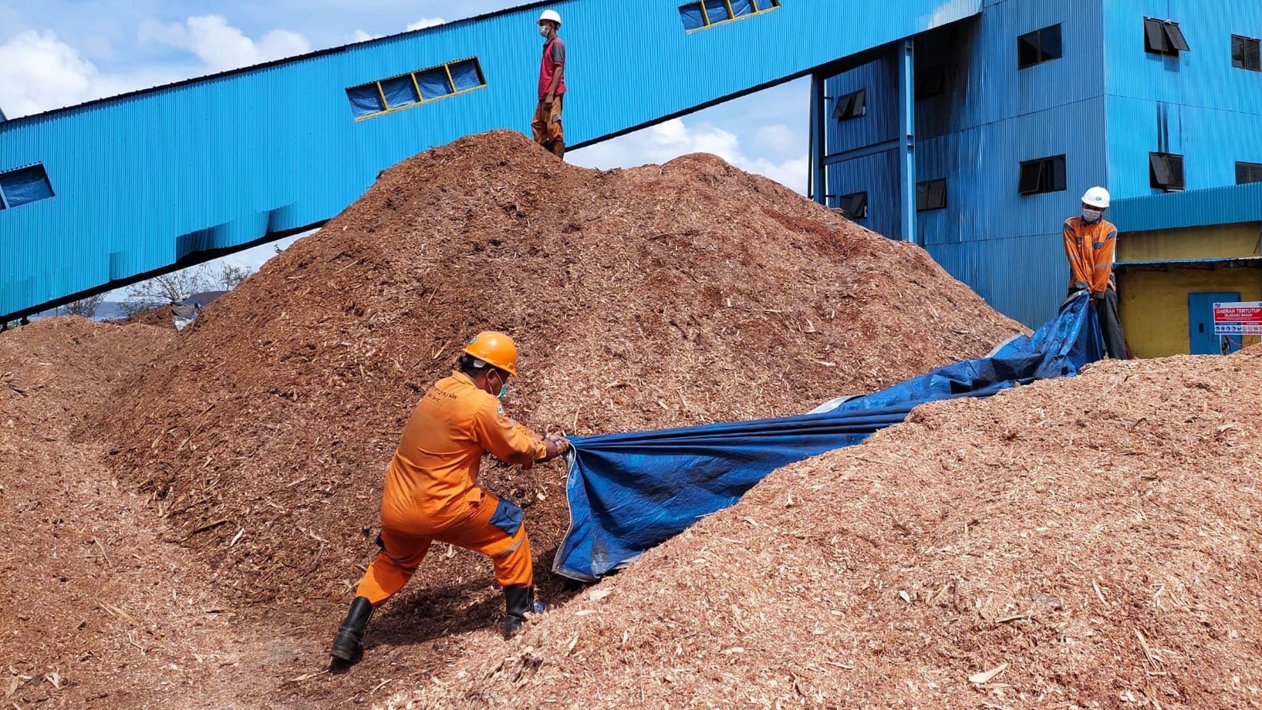 FOKUS: PLN EPI dan Greenery sepakat mendorong pengembangan biomassa dan residu pertanian.