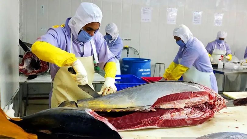 PROSES: Produk tuna kaleng dan olahan lainnya dari Indonesia ke Jepang menduduki peringkat ketiga top eksportir dengan nilai USD 30,28 juta.