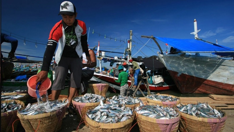 KERJA KERAS: Nelayan mengairi ikan hasil tengkapan mereka. Akibat cuaca buruk, 63 persen nelayan terpaksa hentikan aktivitas mereka.
