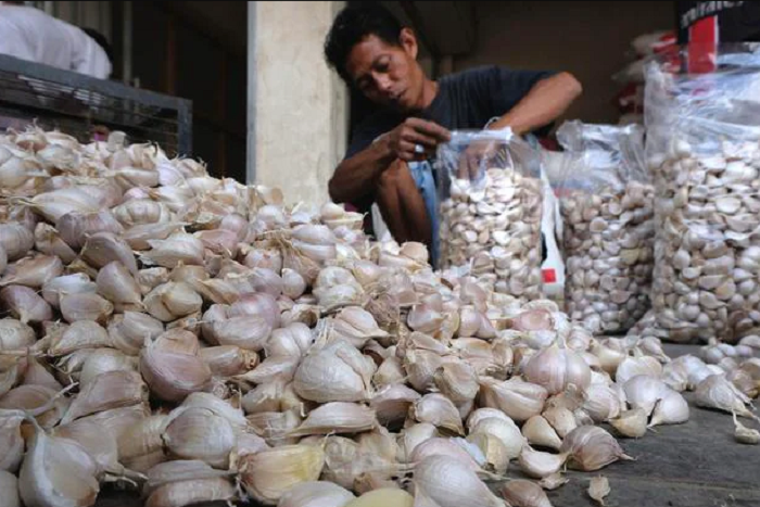 HARGA NAIK: BPS melaporkan harga bawang putih di 208 kabupaten maupun kota mulai mengalami kenaikan menjelang masuknya bulan Ramadan.