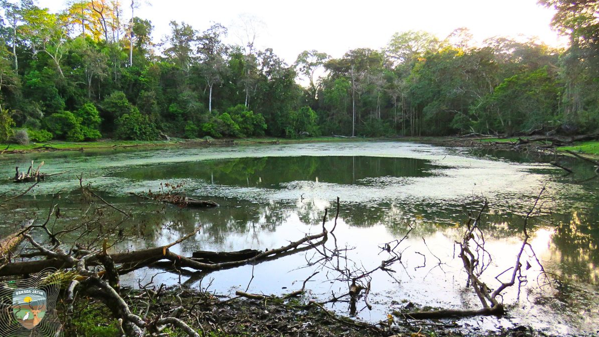 ASRI: Ekosistem lahan basah Jawa Timur yang berfungsi sebagai benteng alami terhadap bencana dan penyangga ekonomi masyarakat pesisir.