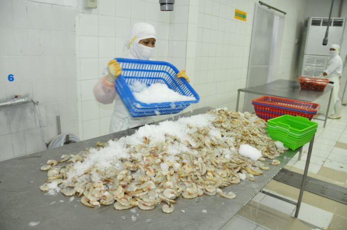 PROSES: Sertifikasi bebas Cesium 137 (Cs-137) yang diterbitkan oleh Kementerian Kelautan dan Perikanan (KKP) berhasil mengantarkan 1.852 kontainer udang Indonesia ke AS.