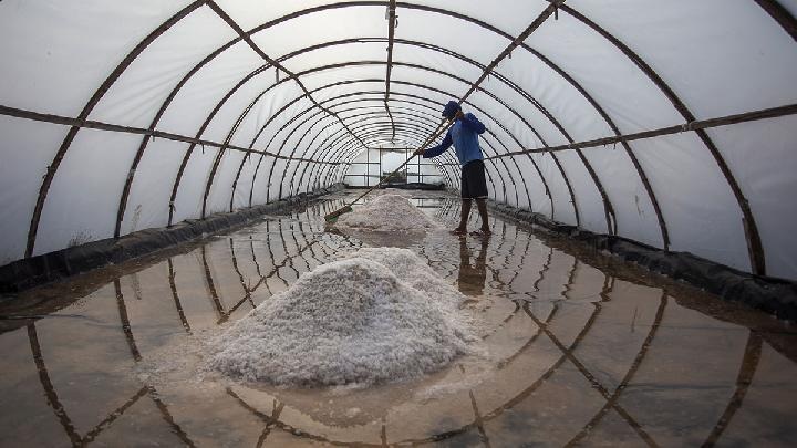 PETANI GARAM: Pemerintah menggunakan tiga strategis untuk mewujudkan swasembada garam di 2027, yaitu ekstensifikasi, intensifikasi, dan pengembangan teknologi.