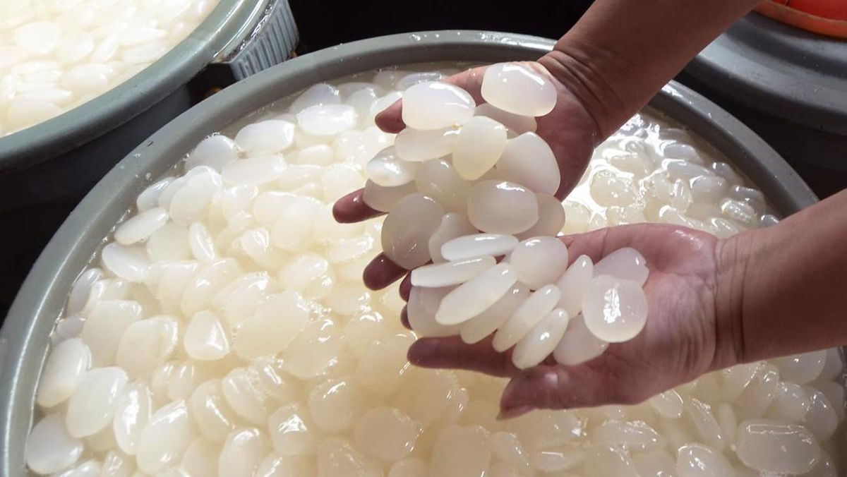 Kolang-kaling sebagai salah satu bahan baku bisnis kuliner di bulan Ramadan .