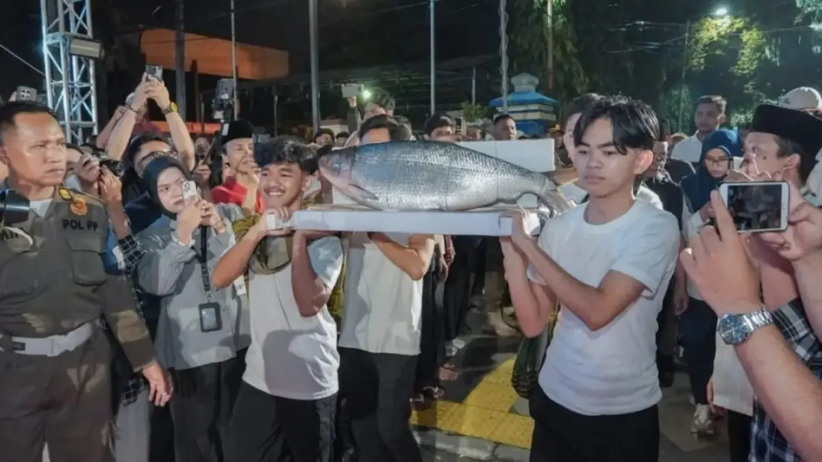 Bandeng kawak diarak dalam rangkaian tradisi Pasar Bandeng di Gresik yang menjadi upaya promosi komoditas lokal sekaligus penguatan ekonomi petambak