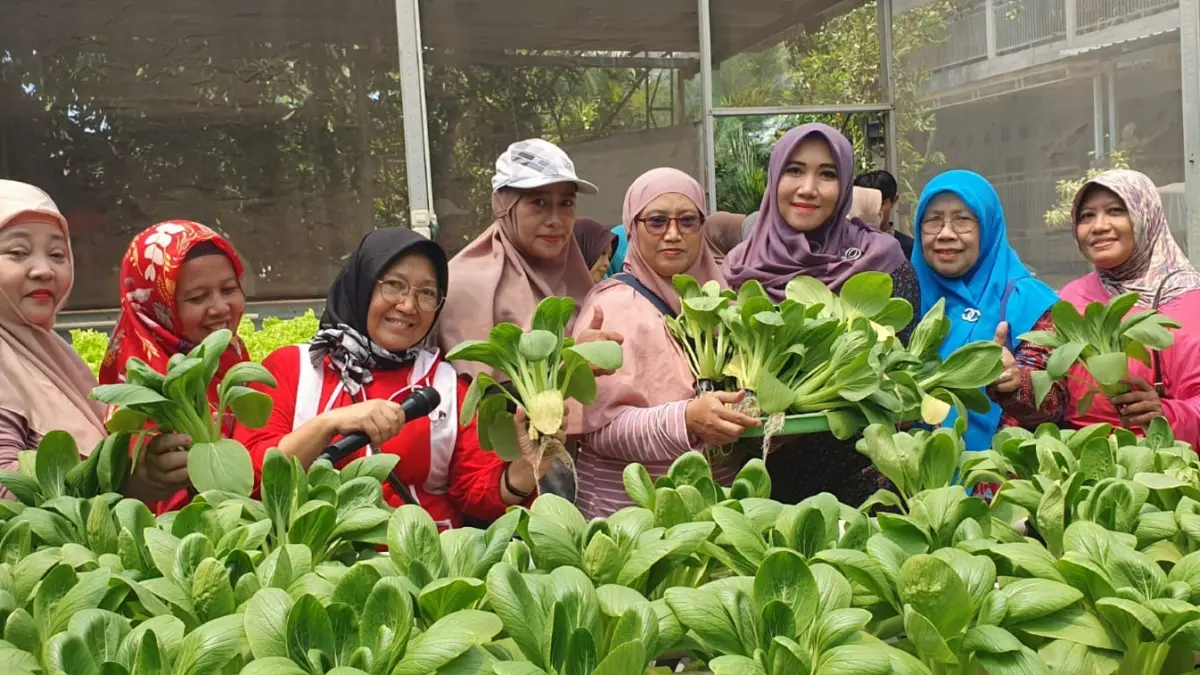 Urban farming jadi salah satu upaya untuk meningkatkan ekonomi lokal di Surabaya