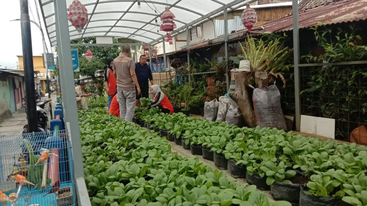 Aktivitas anggota Kelompok Wanita Tani (KWT) saat mengelola kebun urban farming dan instalasi budidaya pangan mandiri .
