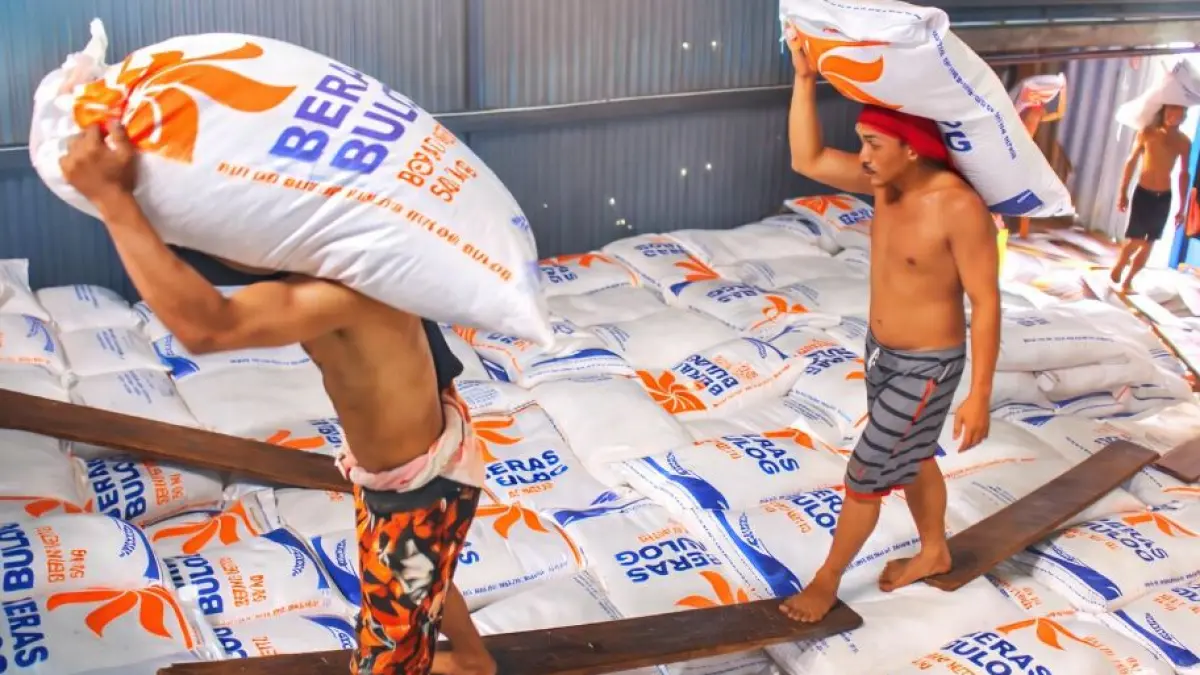 PANGGUL: Tingginya produksi di wilayah Kabupaten Ngawi dinilai menjadi salah satu alasan mengapa stok beras nasional kini meningkat tajam.
