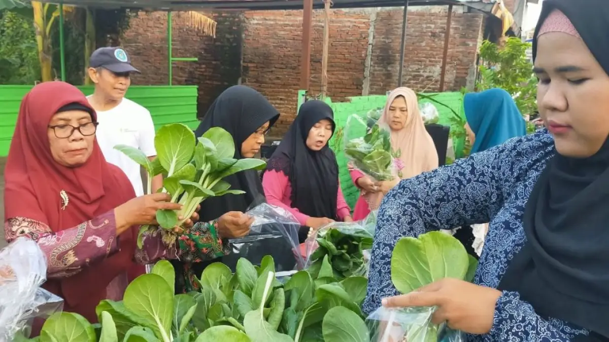CUAN: Warga beraktivitas di kampung hidroponik Surabaya dengan memanfaatkan lahan terbatas di Medokan Ayu.