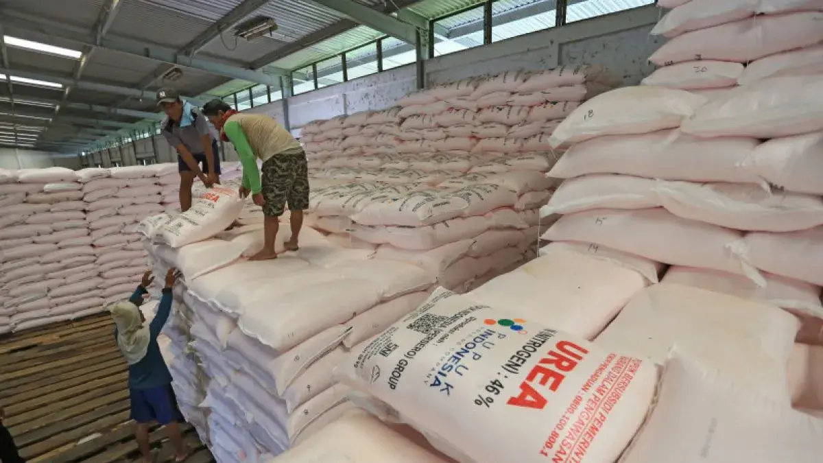 ILUSTRASI: Pupuk Urea Indonesia yang direncanakan akan diekspor ke sejumlah negara di tengah ketegangan geopolitik global