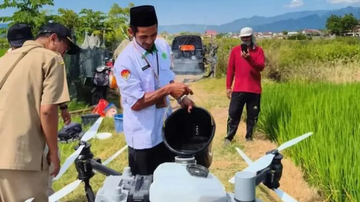 PRODUKTIVITAS PADI: Petugas Dispertangan Situbondo sedang menyiapkan teknologi drone sprayer untuk proses pemupukan otomatis di lahan pertanian padi sebagai bagian dari program smart farming 2026.