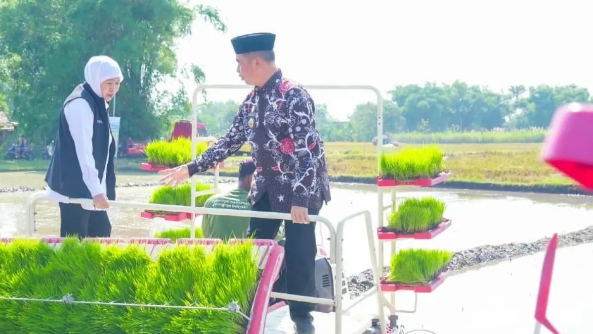 Gubernur Jawa Timur Khofifah Indar Parawansa memimpin langsung Gerakan Panen dan Percepatan Tanam di Desa Gading, Kecamatan Balerejo, Kabupaten Madiun, Jumat (8/5).