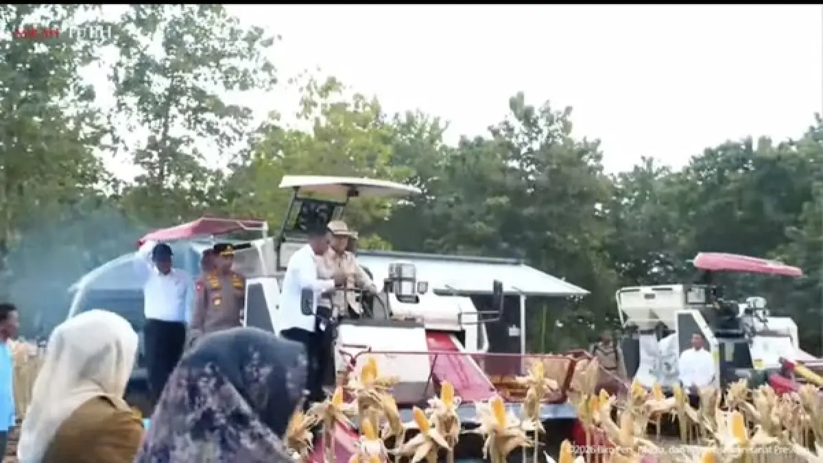 Presiden Prabowo saat mengoperasikan Traktor Panen di lahan pertanian jagung di Tuban Jawa Timur, Sabtu (16/5/2026).
