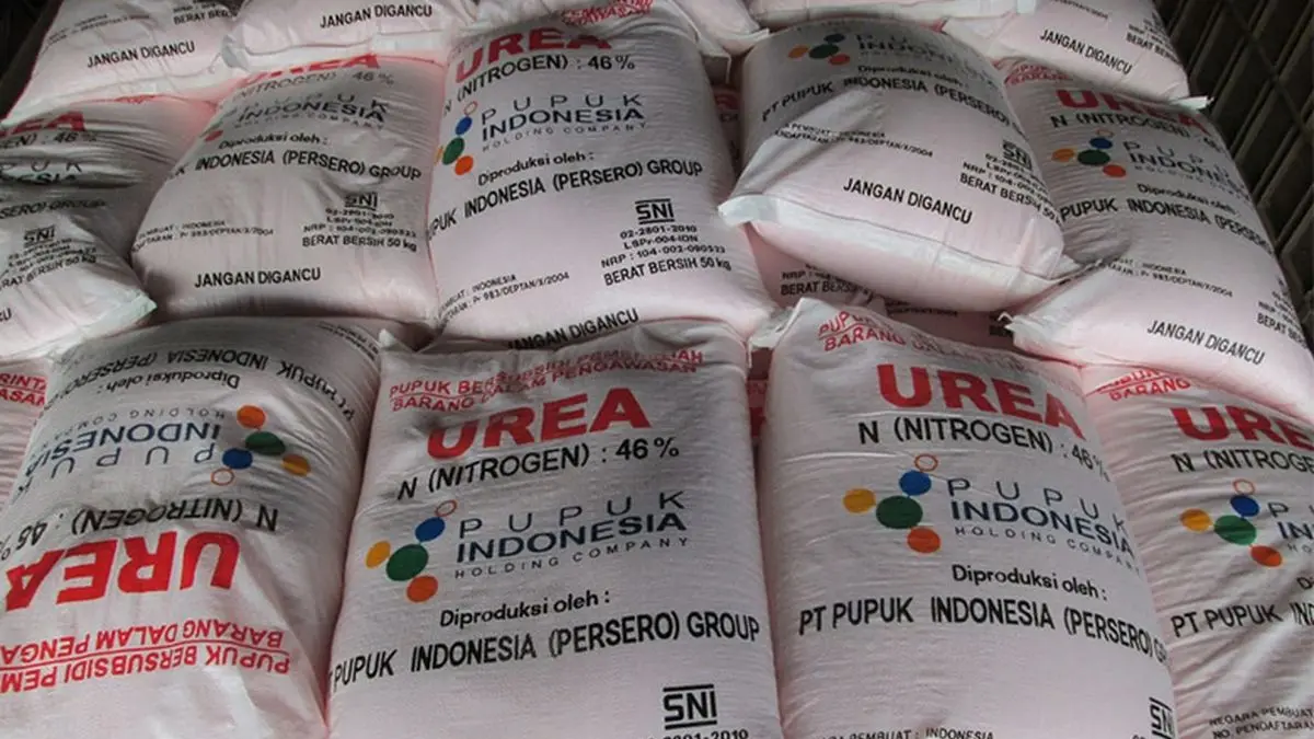 ILUSTRASI: Pupuk Urea yang siap diekspor ke Australia yang diproyeksikan seharga 7 triliun. (Foto: PT Pupuk Indonesia)