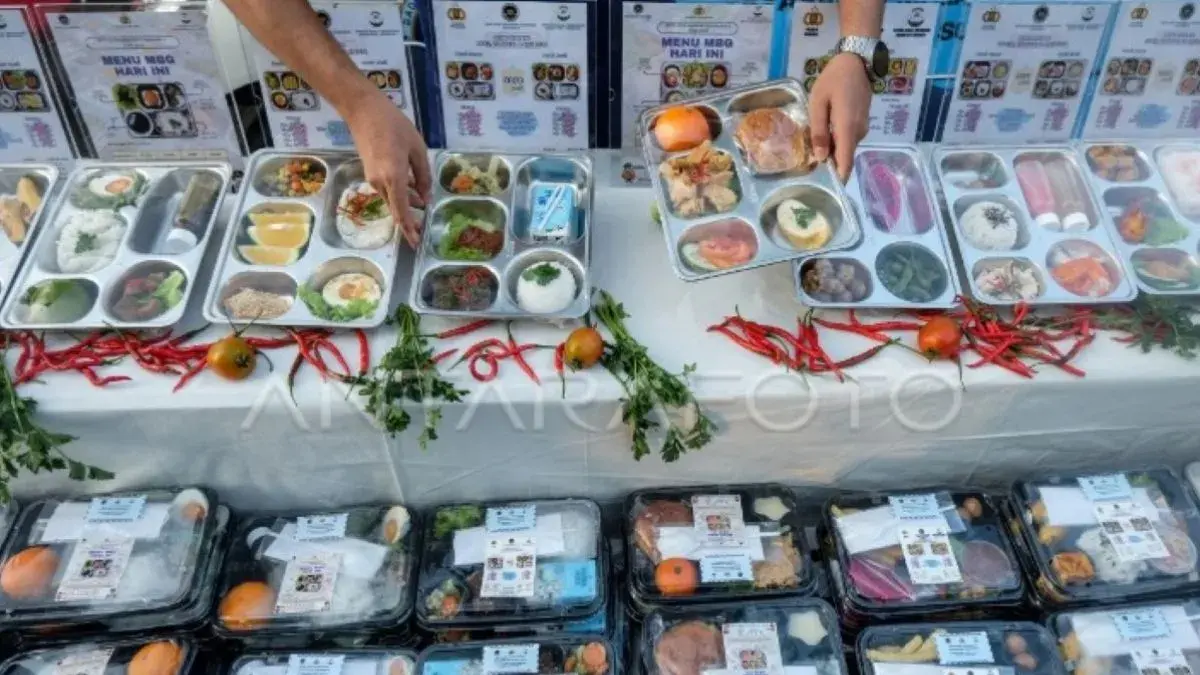 MBG: Petugas menyajikan paket Makan Bergizi Gratis (MBG) yang terstandarisasi.