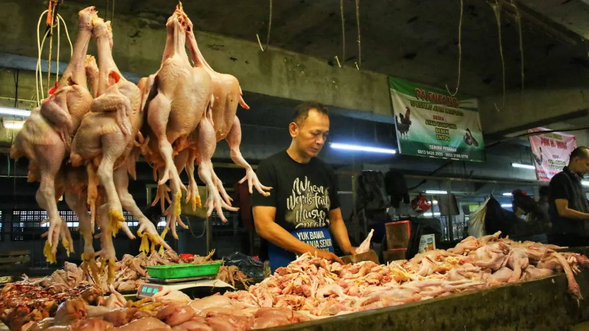 ANGIN SEGAR : Harga daging ayam, telur ayam ras, dan beras medium justru kompak melandai turun hari Rabu (03/06). (IST/ RADAR SURABAYA BISNIS)
