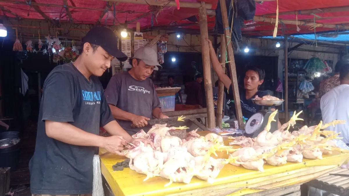 SAATNYA STOK PROTEIN : Harga daging ayam ras di Jawa Timur resmi makin bersahabat di kantong, turun ke kisaran Rp30.810/kg.