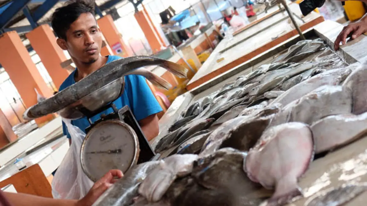 Harga minyak goreng dan mayoritas ikan segar terpantau merangkak naik pada hari Senin (15/06. (IST/ JPNN)