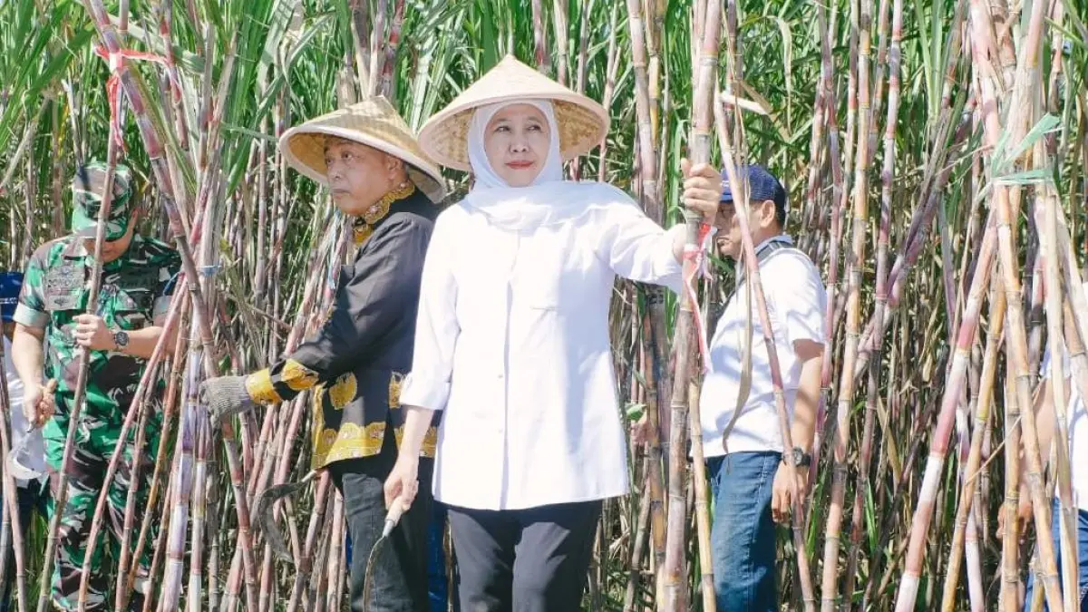 Gubernur Jawa Timur Khofifah Indar Parawansa di Desa Putukrejo, Kecamatan Gondanglegi, Kabupaten Malang, Kamis (18/6).